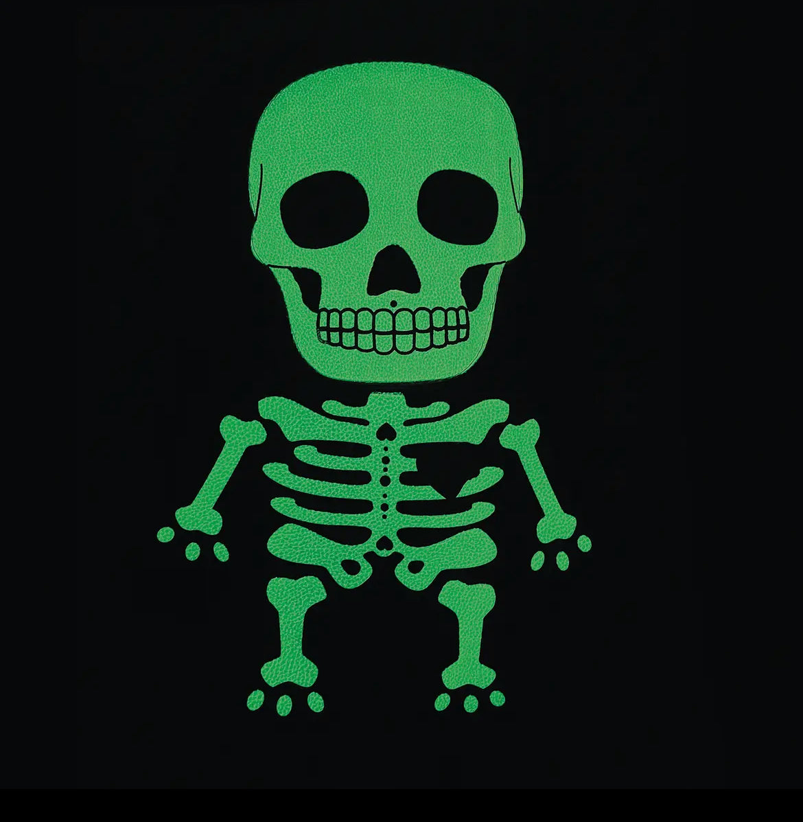 Glow in the dark Skelly purse